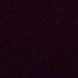 Meet your Posher, Will